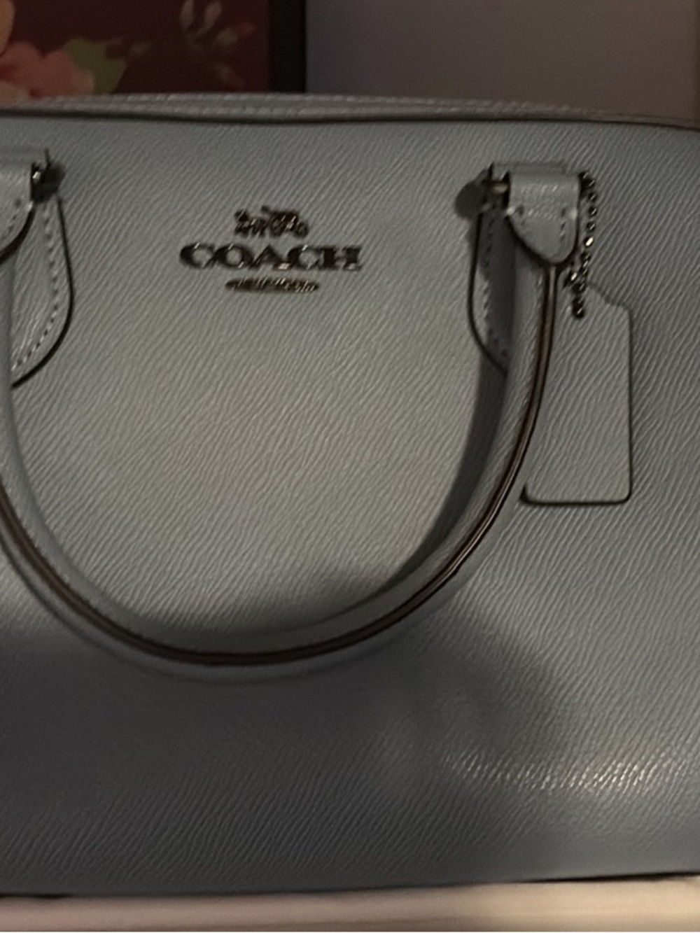 Coach Pebble Leather Satchel in Pale Blue
